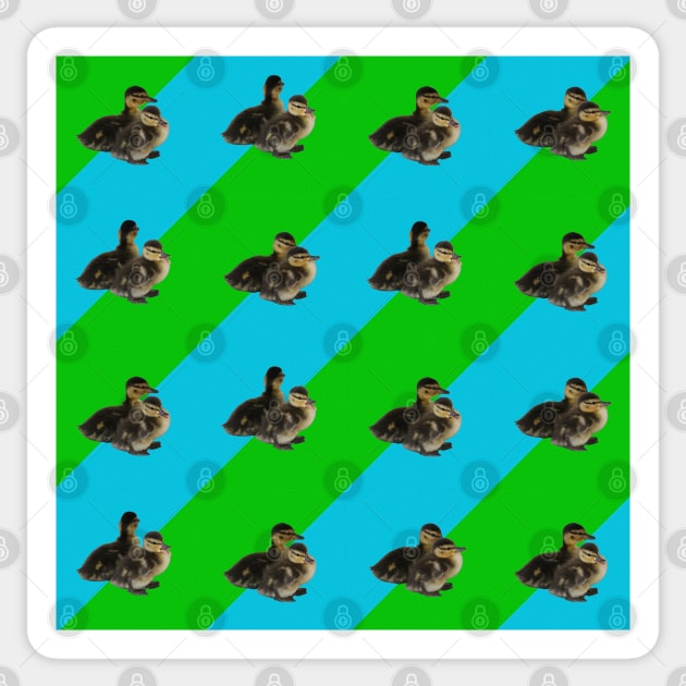 Baby Ducks on Grass Green and Sky Blue Pattern Sticker by ButterflyInTheAttic